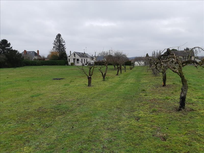 Vente Terrain PALLUAU SUR INDRE - -6138 m² - (36500)