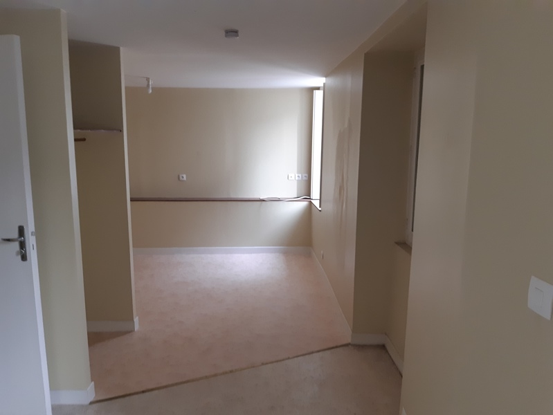 Vente Immeuble CHATILLON SUR INDRE - -  289 m² - (36700)