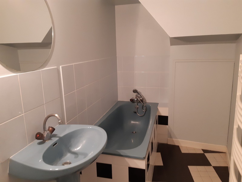 Vente Immeuble CHATILLON SUR INDRE - -  289 m² - (36700)