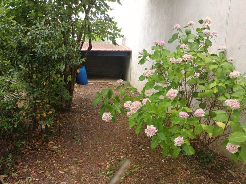 Vente Maison BUZANCAIS - 3 pièces -71 m² - (36500)