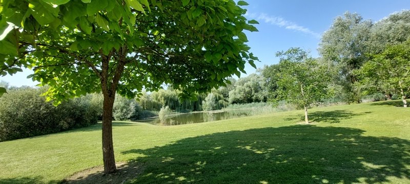 Vente Terrain ST GENOU 36500  14200 m²