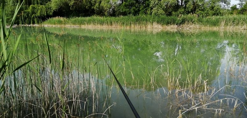 Vente Terrain ST GENOU - -14200 m² - (36500)