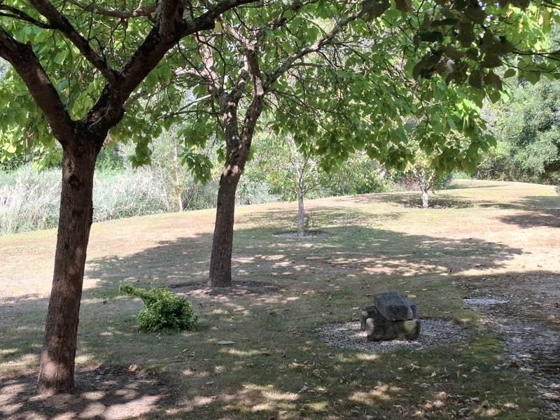Vente Terrain ST GENOU - -14200 m² - (36500)