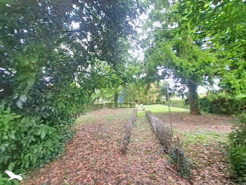 Vente Maison Pellevoisin - 9 pièces -125 m² - (36180)