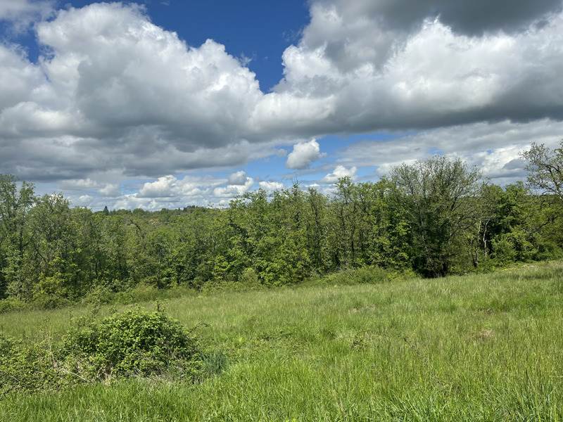 Vente Terrain LACHAPELLE AUZAC - -1000 m² - (46200)