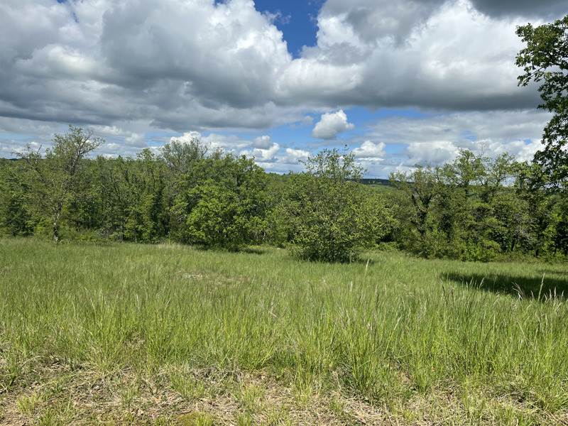 Vente Terrain LACHAPELLE AUZAC - -1100 m² - (46200)