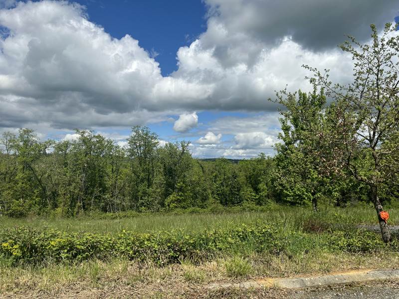 Vente Terrain LACHAPELLE AUZAC - -1300 m² - (46200)