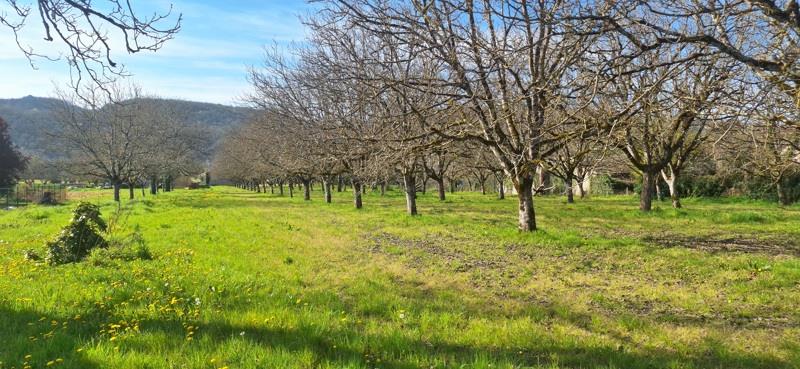 Vente Terrain ST SOZY - -1650 m² - (46200)
