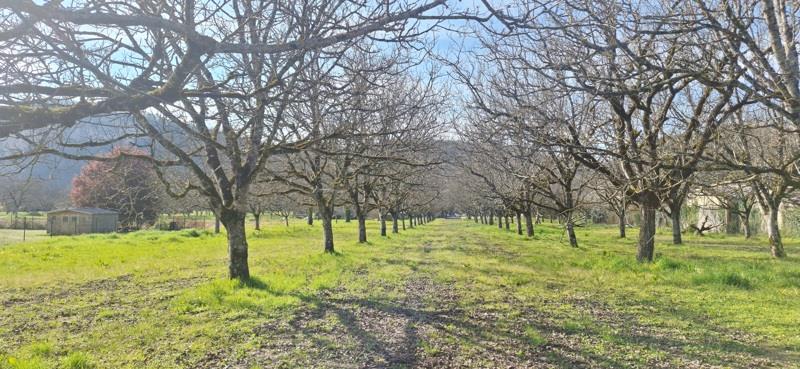 Vente Terrain ST SOZY - -1650 m² - (46200)