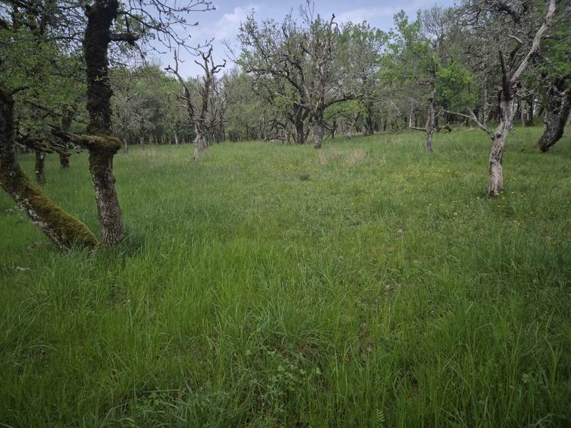 Vente Terrain PECHS DE L ESPERANCE - -7010 m² - (24370)