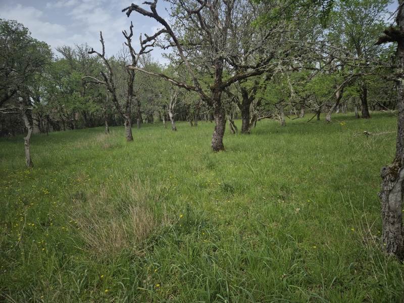 Vente Terrain PECHS DE L ESPERANCE - -7010 m² - (24370)