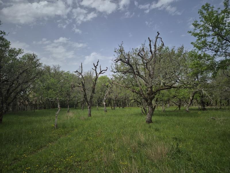 Vente Terrain PECHS DE L ESPERANCE - -7010 m² - (24370)