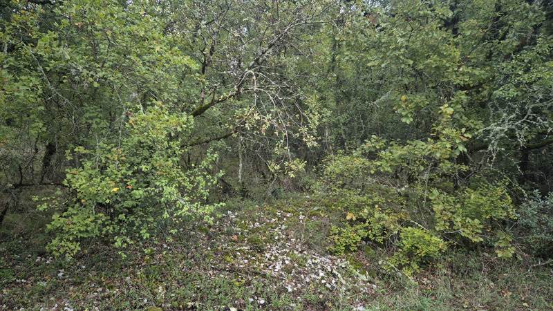 Vente Terrain PINSAC - -1292 m² - (46200)