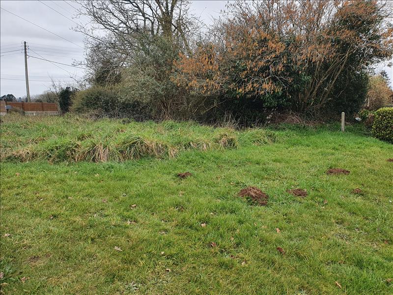 Vente Terrain PENCRAN 29800  