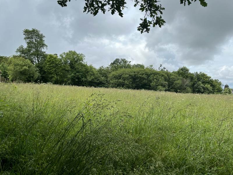 Vente Terrain SIZUN - -3880 m² - (29450)