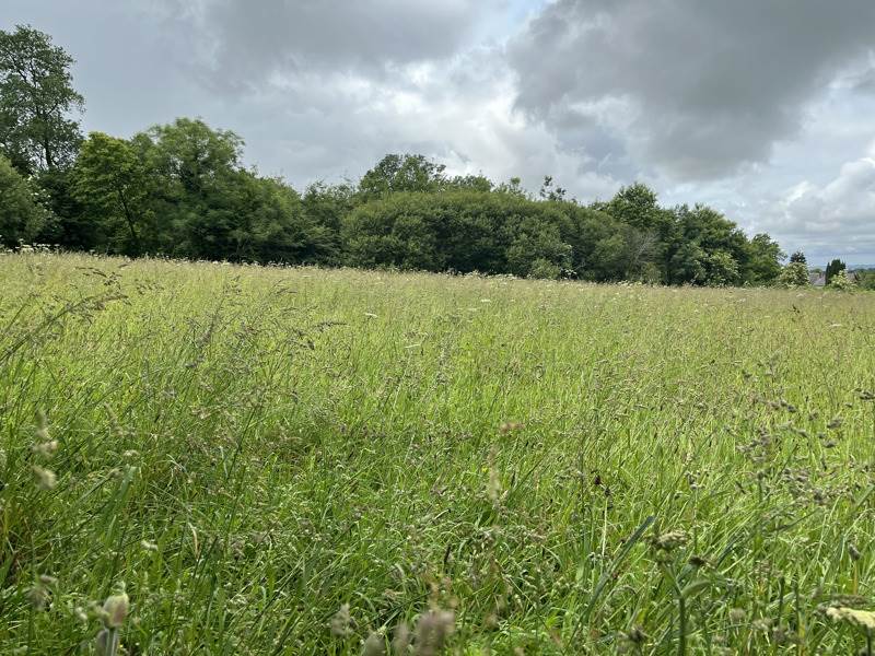 Vente Terrain SIZUN - -3880 m² - (29450)
