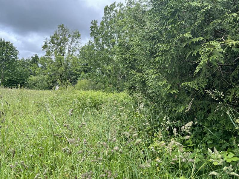 Vente Terrain SIZUN - -3880 m² - (29450)