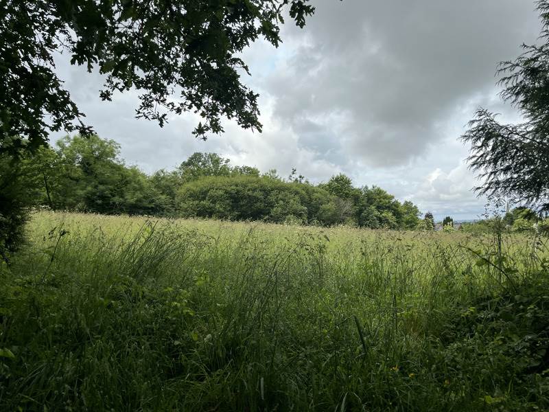 Vente Terrain SIZUN - -3880 m² - (29450)