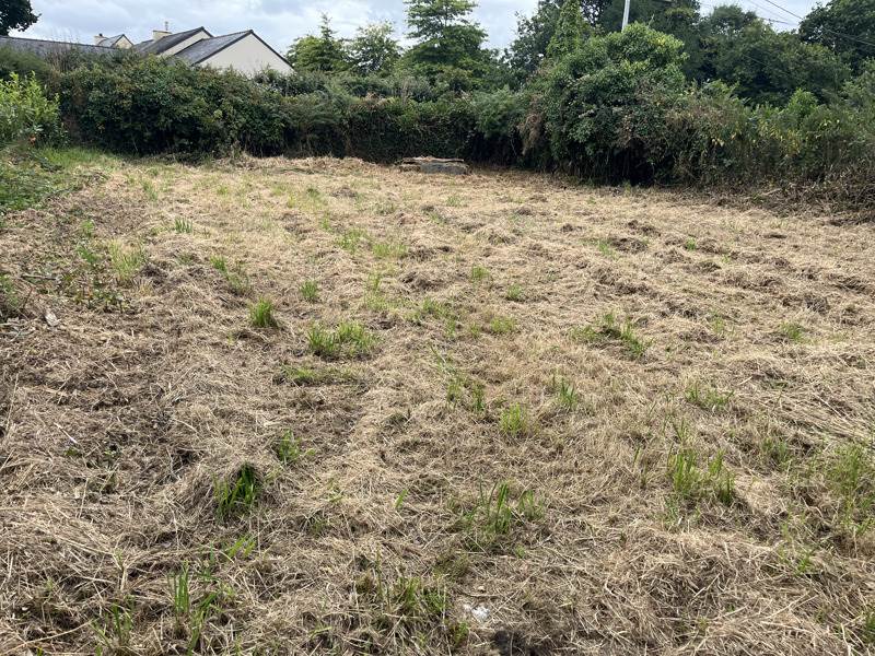 Vente Terrain PLOUDIRY - -1102 m² - (29800)