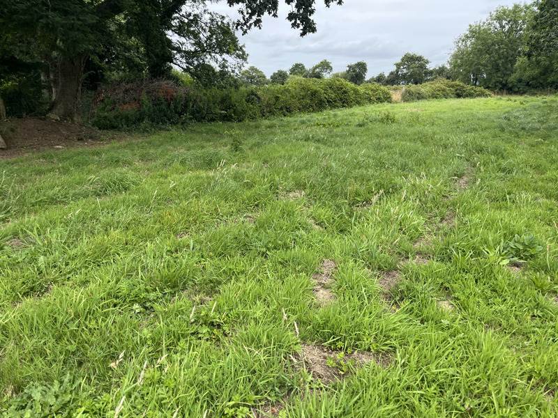 Vente Terrain PLOUDIRY - -759 m² - (29800)