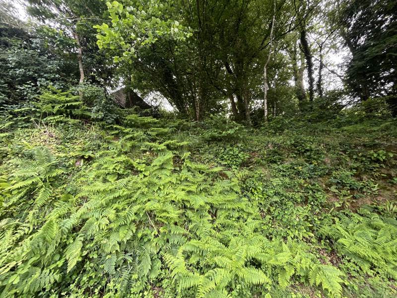 Vente Terrain LANDERNEAU - -302 m² - (29800)
