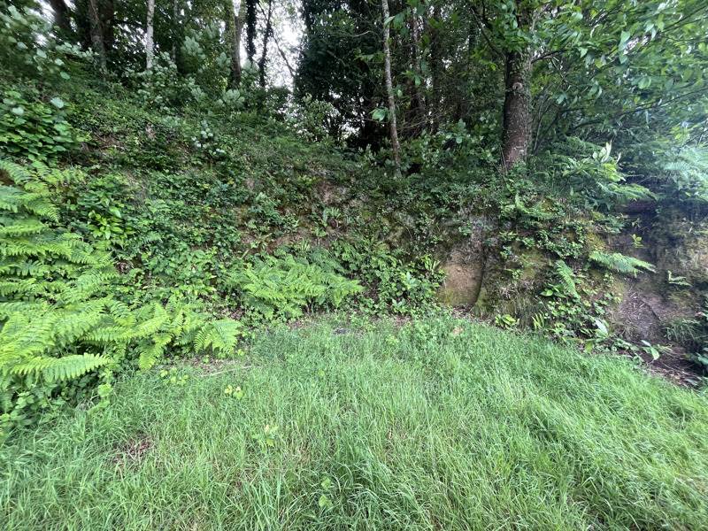 Vente Terrain LANDERNEAU - -302 m² - (29800)