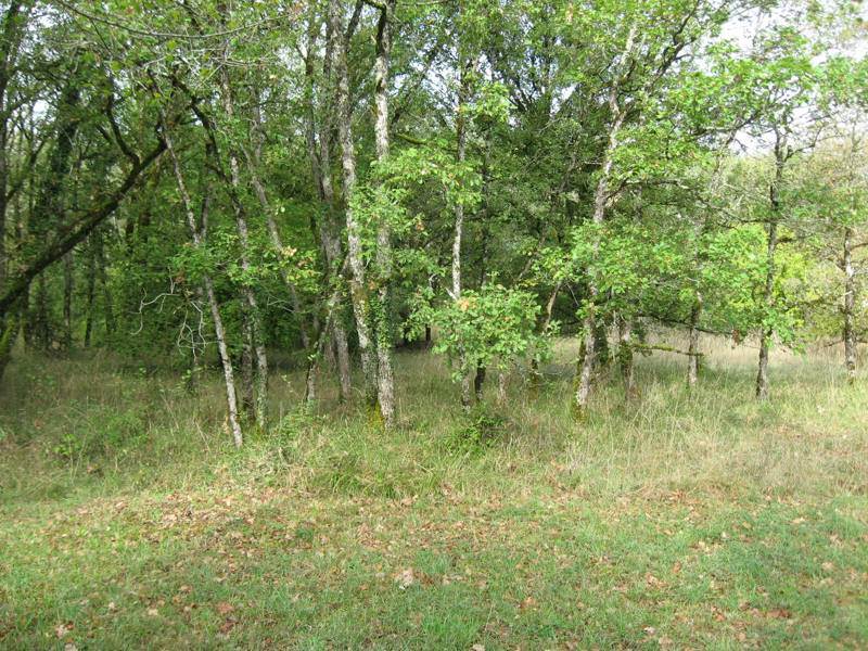 Vente Maison LE BASTIT - 6 pièces -230 m² - (46500)