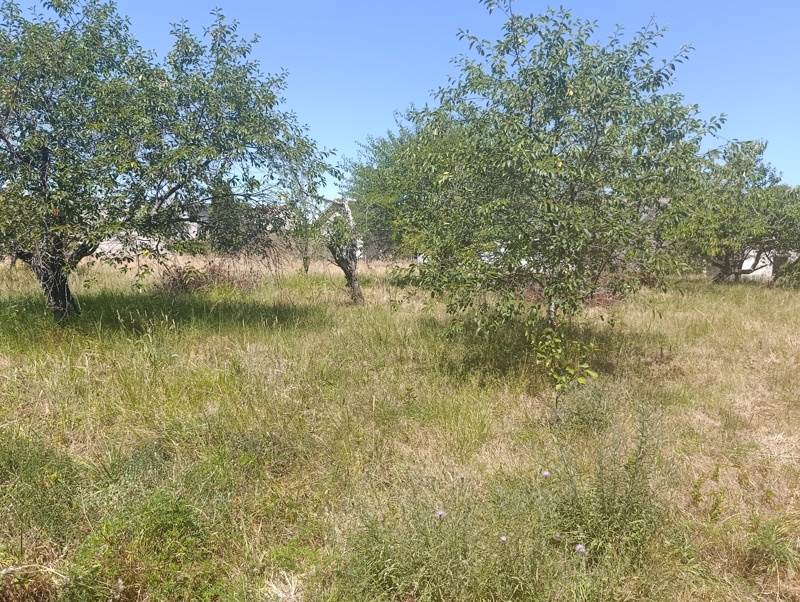 Vente Terrain STE CATHERINE DE FIERBOIS - -540 m² - (37800)