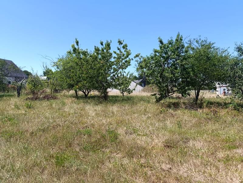 Vente Terrain STE CATHERINE DE FIERBOIS - -540 m² - (37800)