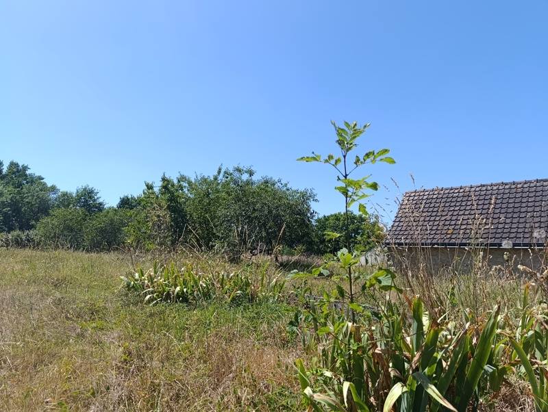 Vente Terrain STE CATHERINE DE FIERBOIS - -540 m² - (37800)