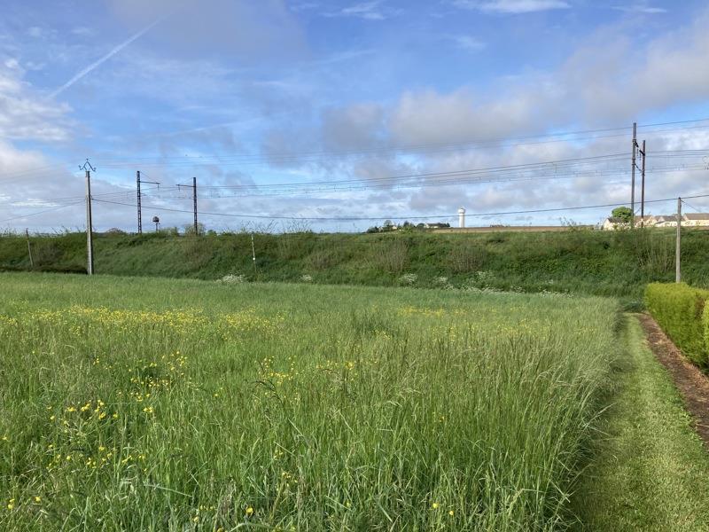 Vente Terrain NOYANT DE TOURAINE - -830 m² - (37800)