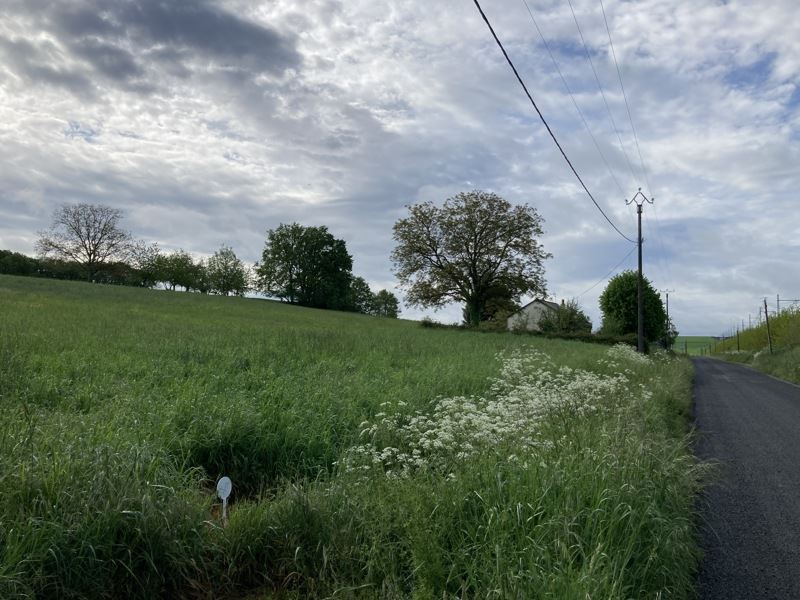 Vente Terrain NOYANT DE TOURAINE - -820 m² - (37800)
