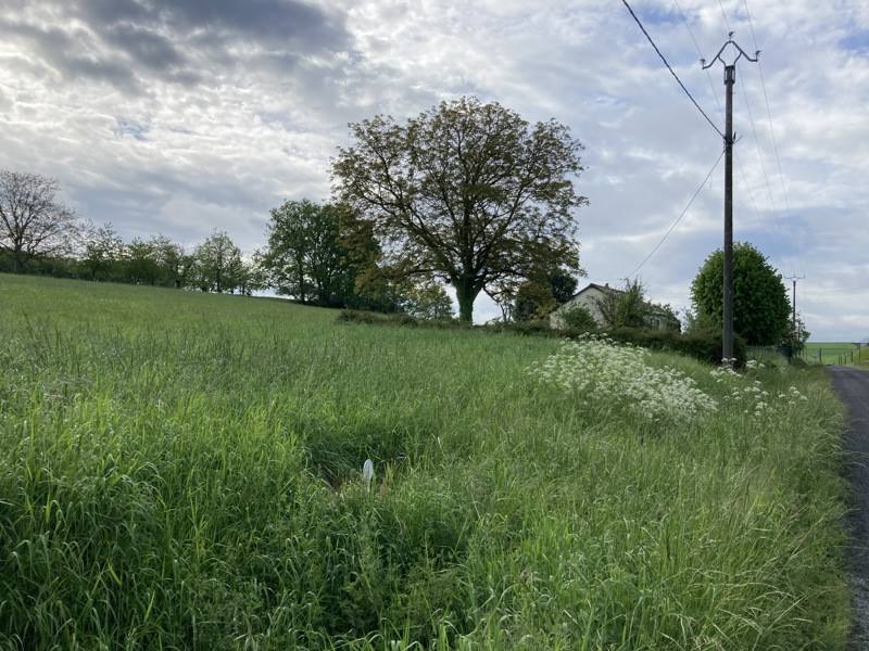 Vente Terrain NOYANT DE TOURAINE - -820 m² - (37800)