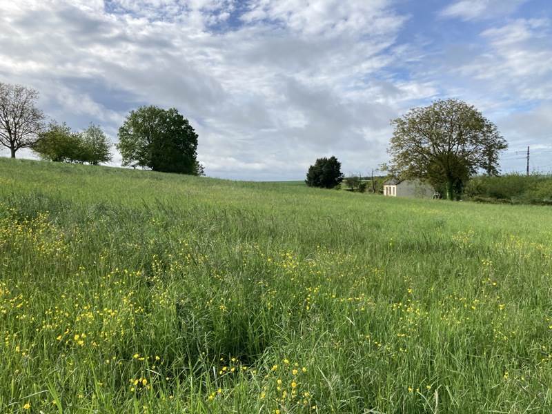 Vente Terrain NOYANT DE TOURAINE - -820 m² - (37800)