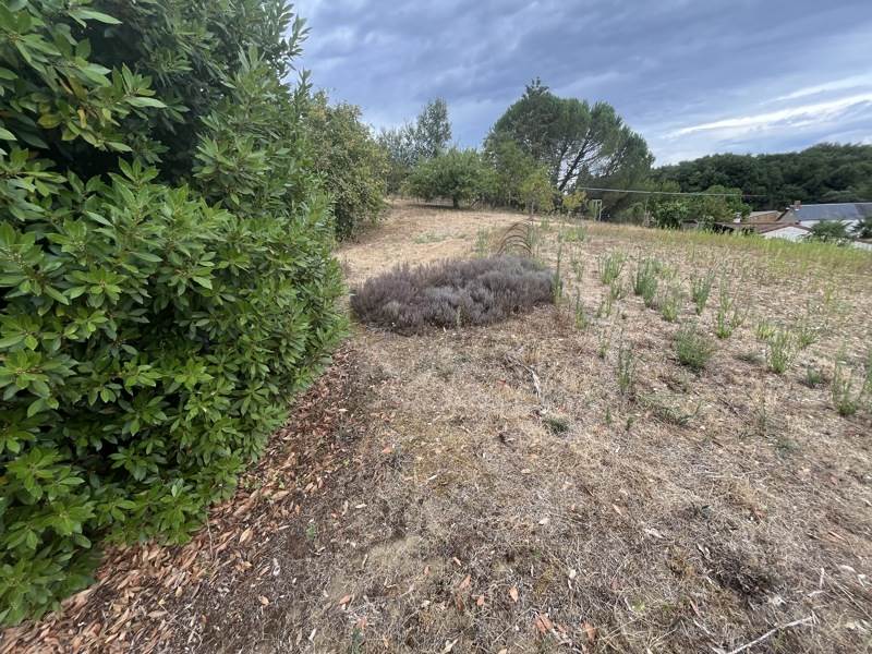 Vente Maison STE MAURE DE TOURAINE - 4 pièces -83 m² - (37800)