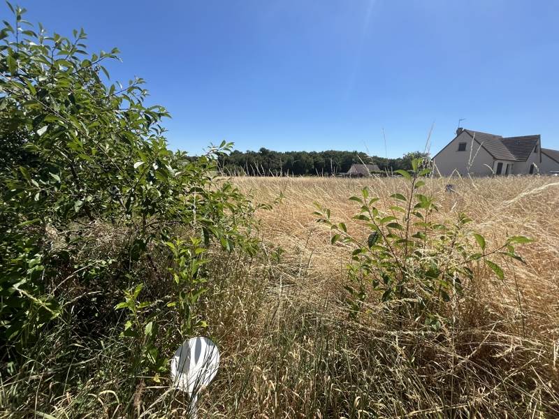 Vente Terrain ST EPAIN - -2097 m² - (37800)