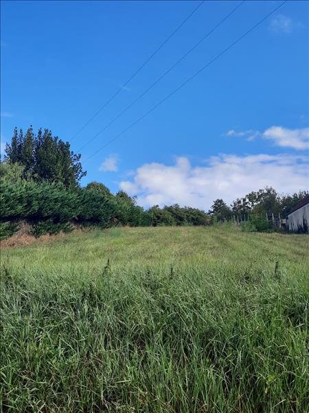 Vente Terrain MONTRICHARD VAL DE CHER 41400  