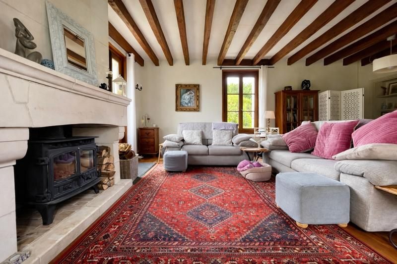 Vente Maison FAVEROLLES SUR CHER - 13 pièces -344 m² - (41400)