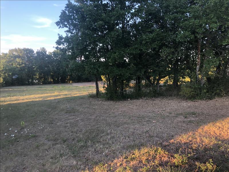 Vente Terrain CHAUFFOUR SUR VELL - -4380 m² - (19500)