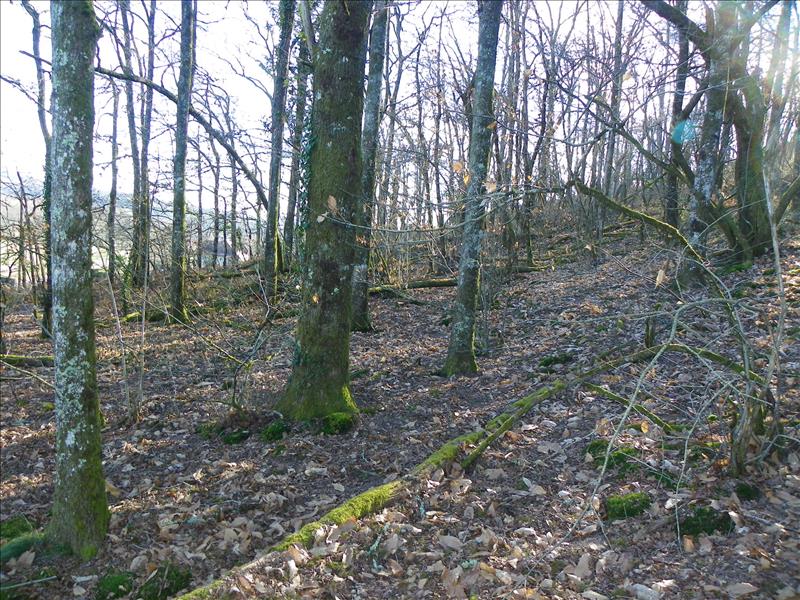 Vente Terrain CUREMONTE - -3460 m² - (19500)