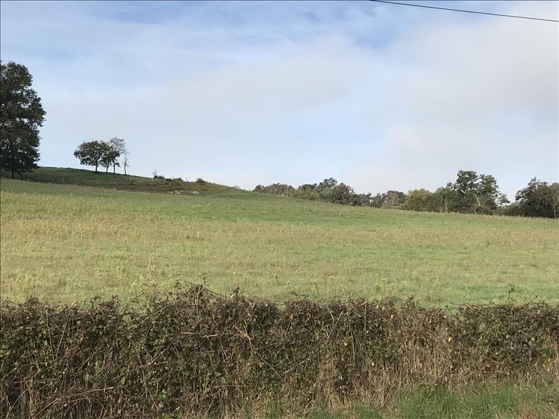 Vente Terrain CUREMONTE - -5390 m² - (19500)