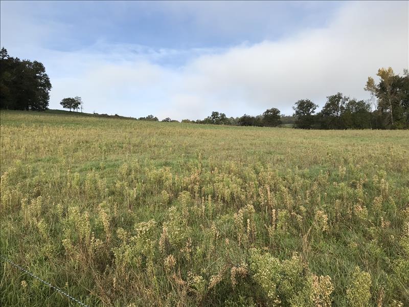 Vente Terrain CUREMONTE - -5390 m² - (19500)