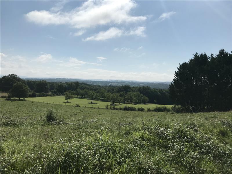 Vente Terrain CHAUFFOUR SUR VELL 19500  