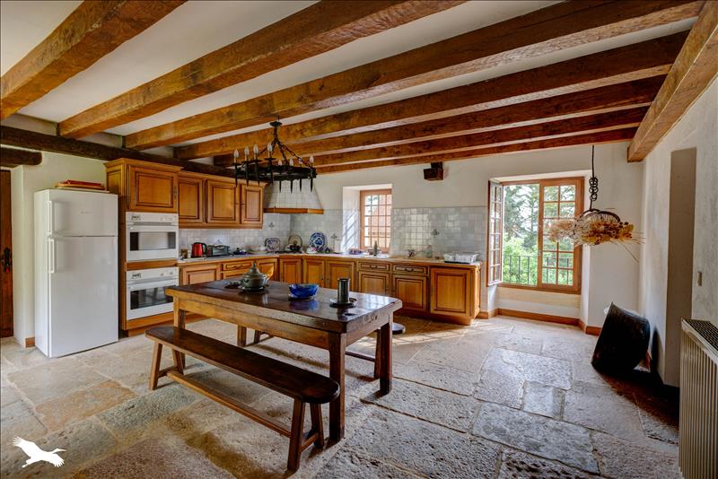 Vente Château MEYSSAC - 10 pièces -490 m² - (19500)