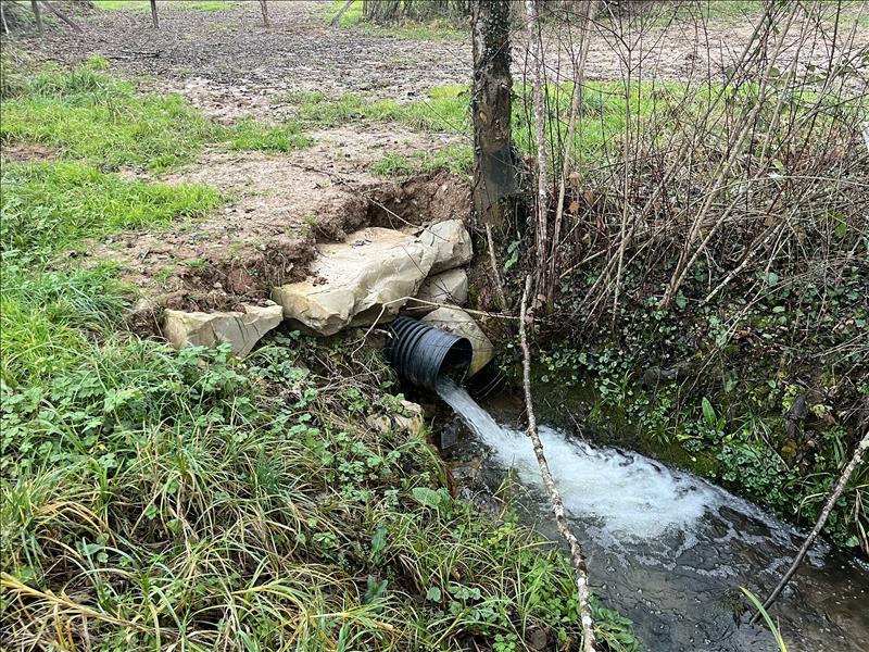 Vente Terrain MEYSSAC - -2780 m² - (19500)