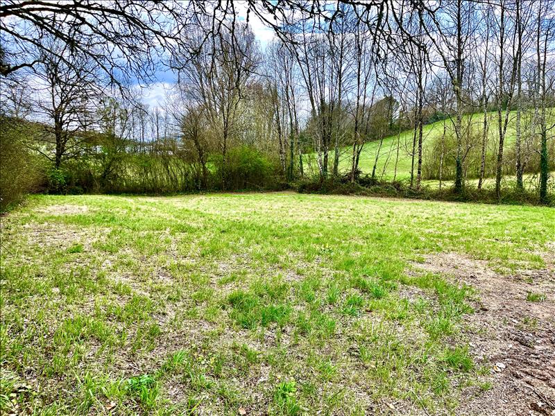 Vente Terrain MEYSSAC - -2780 m² - (19500)