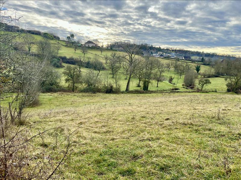 Vente Terrain MEYSSAC - -3148 m² - (19500)