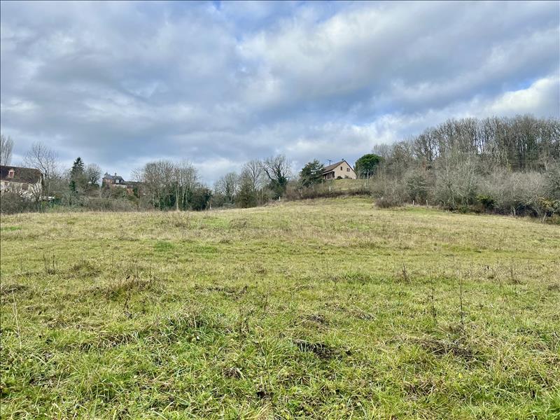 Vente Terrain MEYSSAC - -4002 m² - (19500)