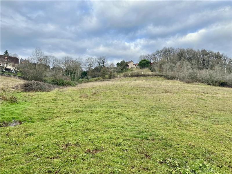 Vente Terrain MEYSSAC - -4002 m² - (19500)