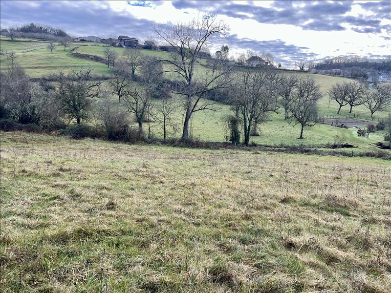 Vente Terrain MEYSSAC - -7150 m² - (19500)